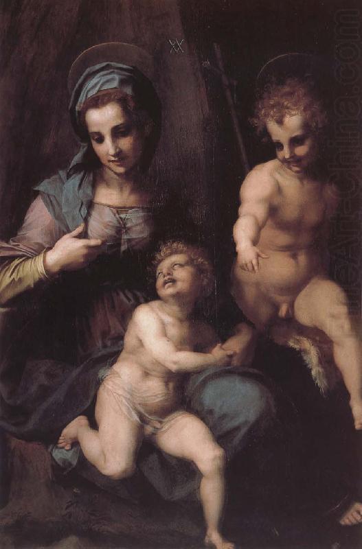 Virgin Mary and Jeusu and John, Andrea del Sarto